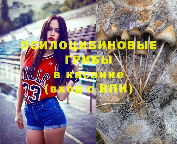 ECSTASY Алексеевка