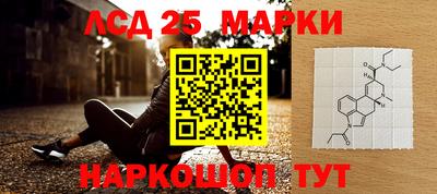 прущие грибы Нарткала