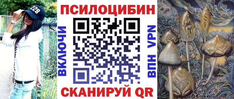 KRAKEN tor  Южноуральск  Галлюциногенные грибы Cubensis 