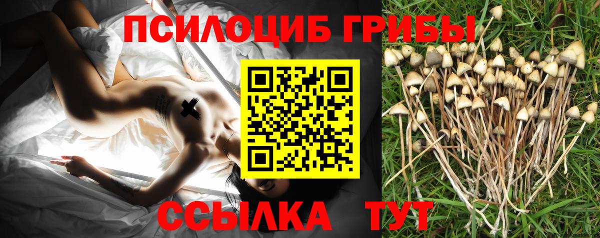COCAIN Южноуральск