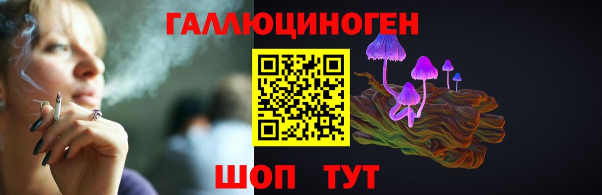 Галлюциногенные грибы Psilocybe  Псилоцибиновые грибы Cubensis  Вход с VPN  Южноуральск 